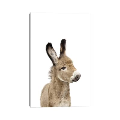 iCanvas "Baby Donkey" by Sisi & Seb Canvas Print