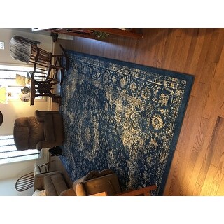The Gray Barn Peaceful Acres Traditional Persian Vintage Fancy Area Rug