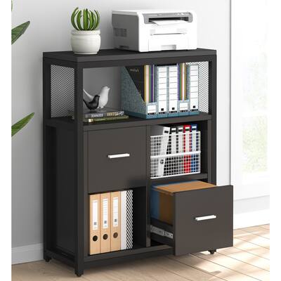 Modern 2 Drawers Lateral File Cabinet with Open Storage Shelves and Letter Size Drawer