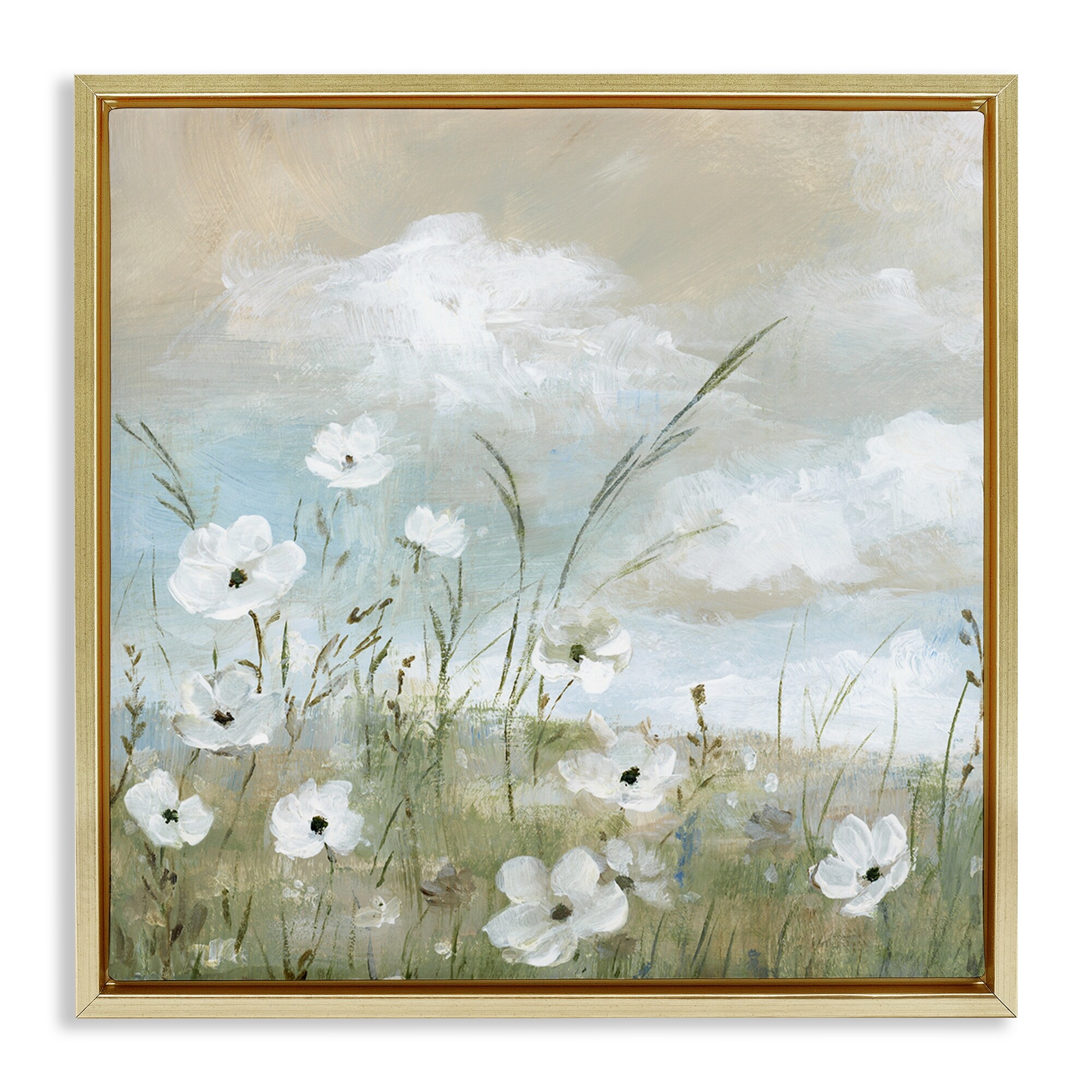 Stupell Clouds Beyond Meadow Framed Floater Canvas Wall Art Design By Nan