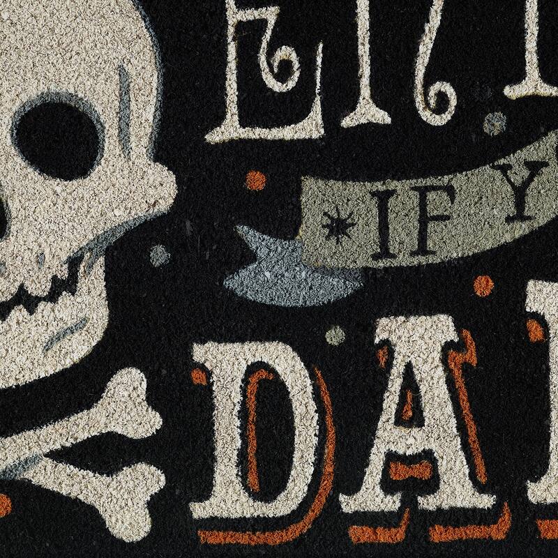 DII Seasonal Coir Doormat