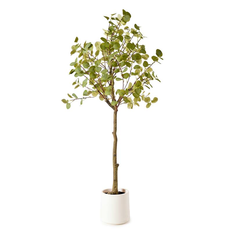 American Art Decor Artificial Faux Tree in White Tapered Ceramic Pot - 60" - Eucalyptus Tree (Matte White Pot)