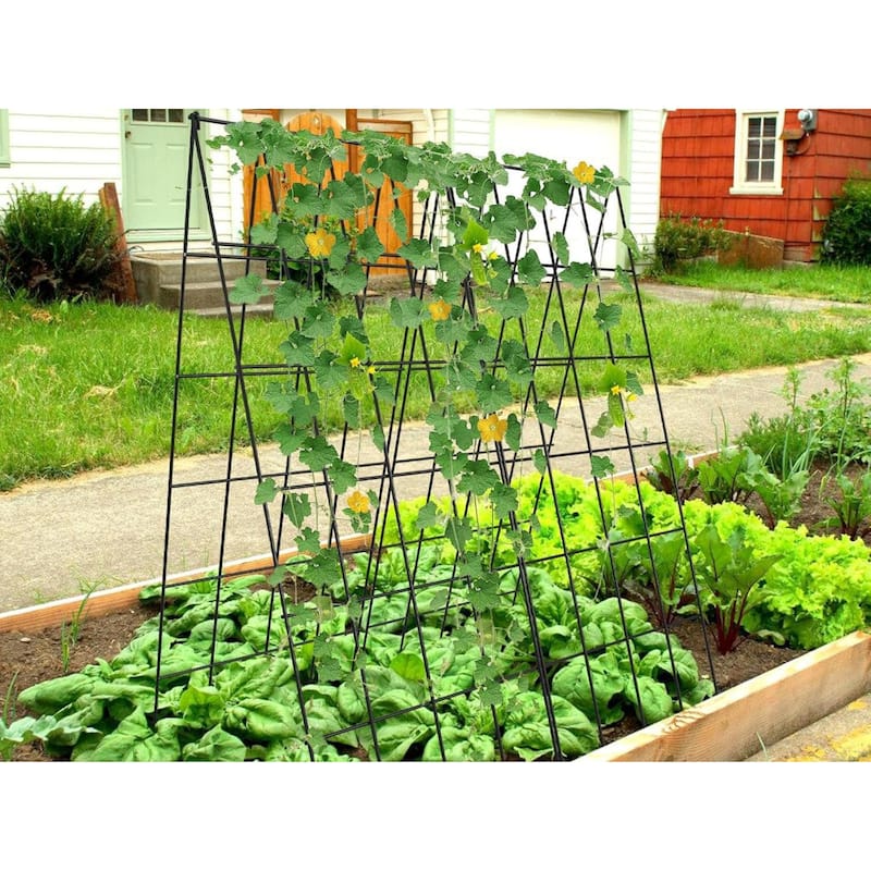 Foldable Cucumber Trellis, Outdoor Garden Trellis for Climbing Plants