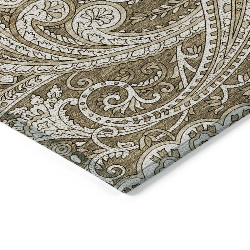 Machine Washable Indoor/ Outdoor Chantille Traditional Paisley Rug
