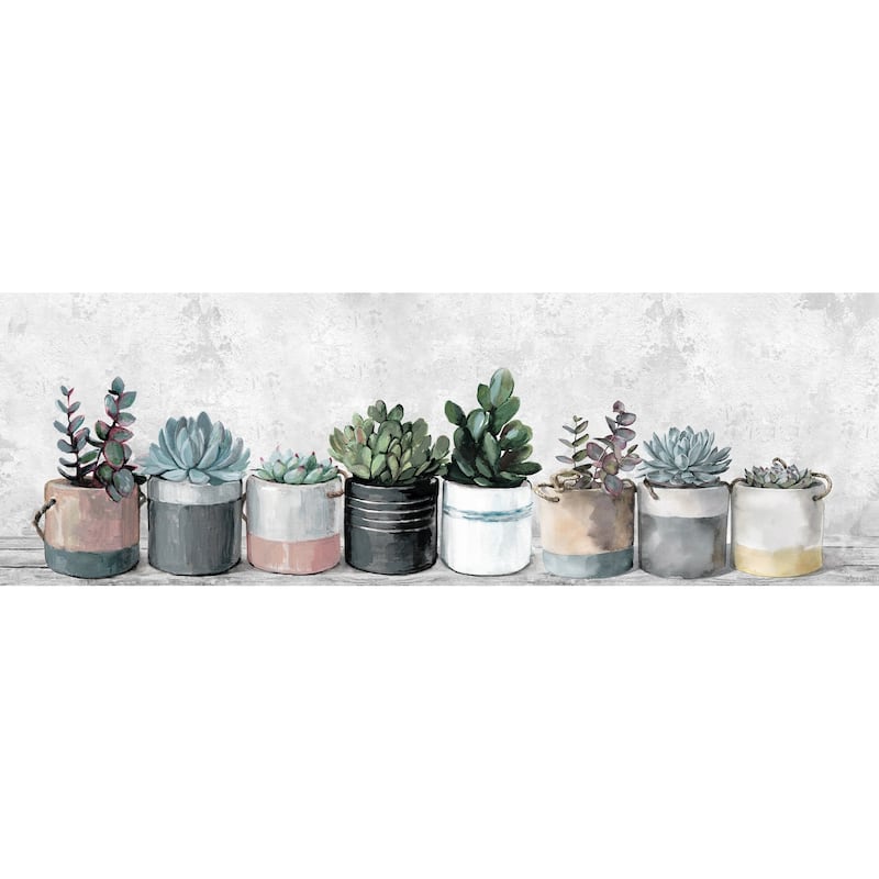 'Wild Succulents in Pots' Painting Print on Wrapped Canvas