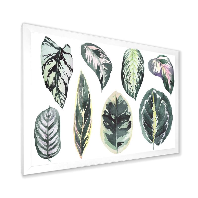 Designart "Tropical Calathea Leaves" Bohemian & Eclectic Framed Art Print