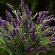 preview thumbnail 5 of 4, Artificial Lavender Flower in Ceramic Pot for Home Office Wedding Party Decoration