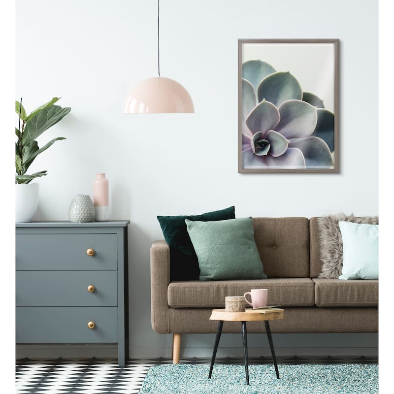 Kate and Laurel Blake Succulent 5 Framed Printed Glass by Emiko and Mark Franzen of F2Images - Gray