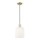 preview thumbnail 36 of 81, Innovations Lighting Endless Possibilities Arcadia - Bridal Veil - 1 Light 8" Cord Hung Mini Pendant Antique Brass/Gloss White