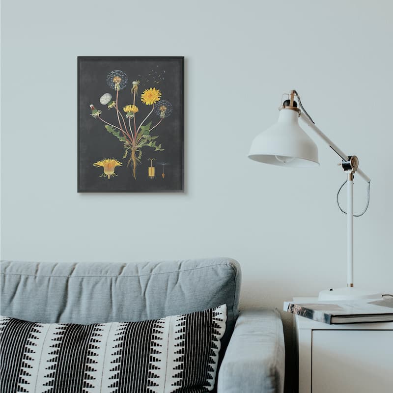 Stupell Botanical Drawing Dandelion On Black Design Framed Wall Art, Design By Artist Lettered and Lined - Multi-Color