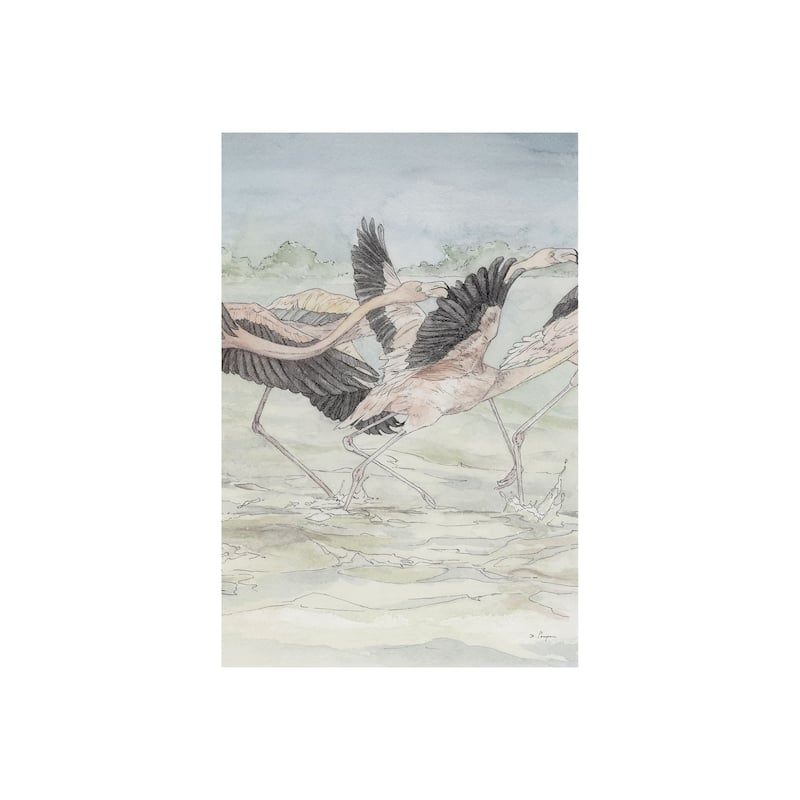 Flamingo II (20 x 30) Canvas Art Print - Small