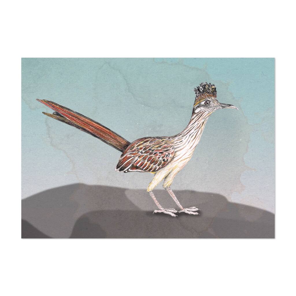 Animals Bird Birds Feathers Roadrunner Unframed Wall Art Print/Poster