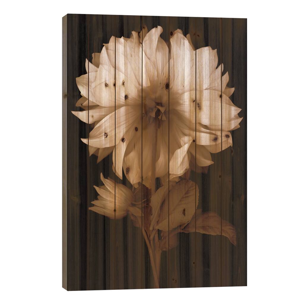Dahlia II Print On Wood by Caroline Kelly - Multi-Color