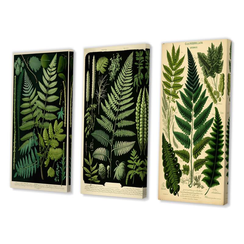 Designart "Fern On Retro Victorian Chart I" Floral Ferns Wall Art Set Of 3 - Modern Gallery Wall Set For Home Decor
