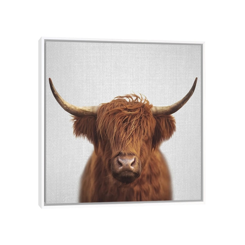 iCanvas "Highland Cow" by Gal Design Framed Canvas Print - White - 18x18