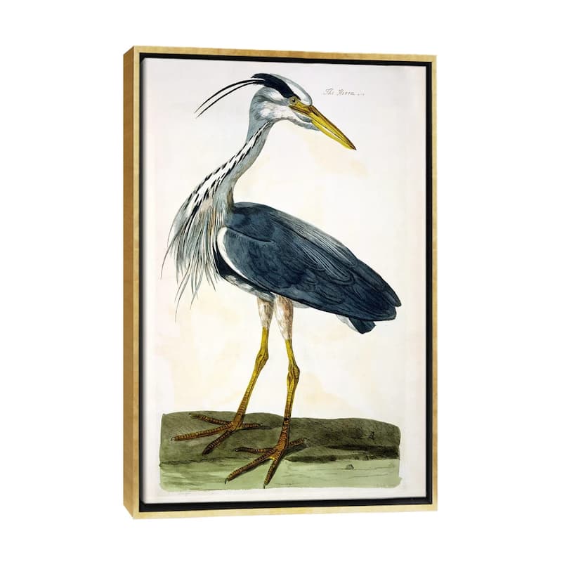 iCanvas "The Heron " by Peter Paillou Framed Canvas Print - Gold - 48x32