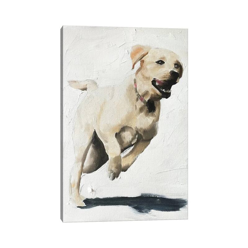iCanvas "Happy Labrador" by James Coates Canvas Print