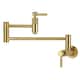 Option Brushed Brass