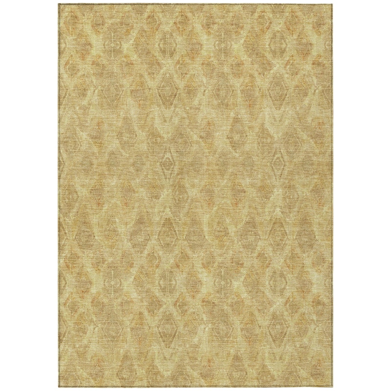 Machine Washable Indoor/ Outdoor Chantille Modern Boho Rug