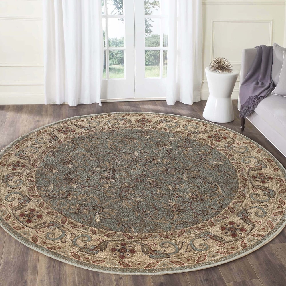 Superior Heritage Traditional Floral Scroll Indoor Area Rug