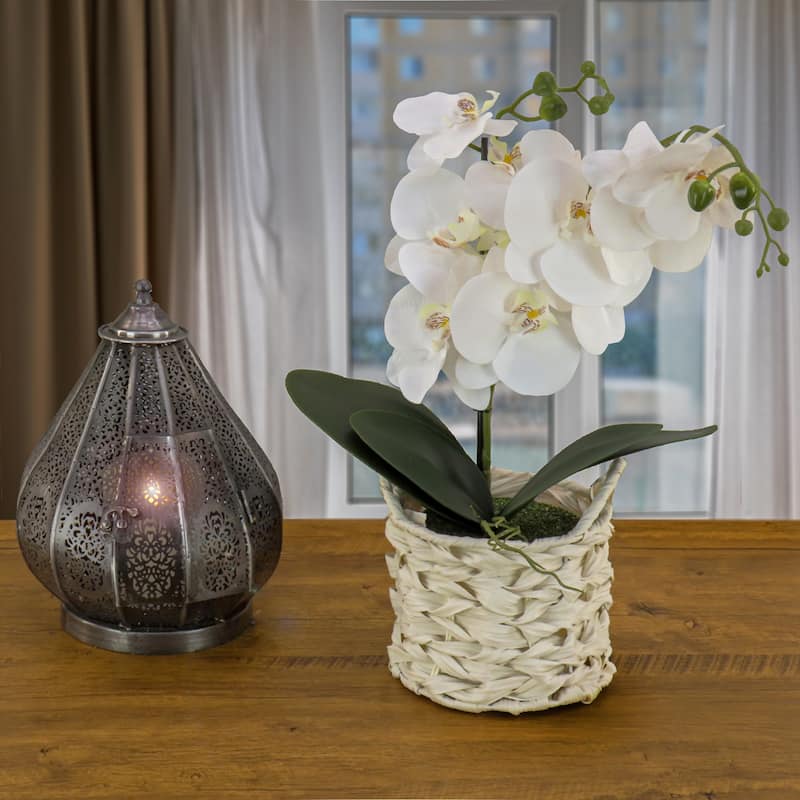 National Tree Company 21 in. White Orchid Flower in White Basket - 21 in