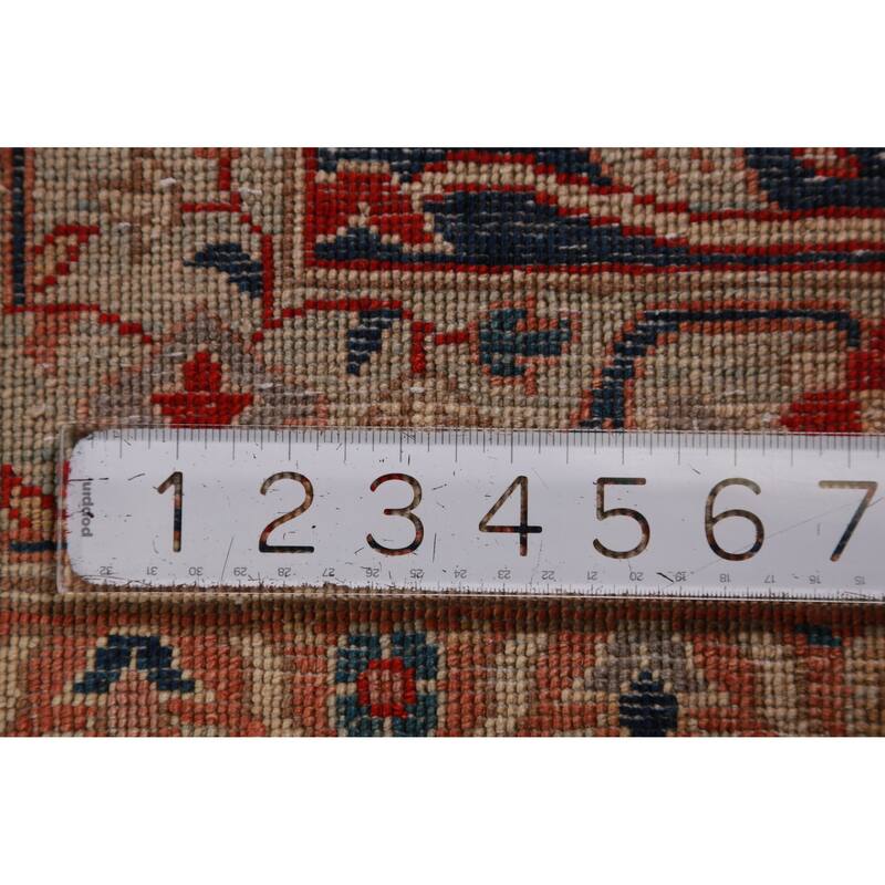 Vegetable Dye Ziegler Rug Handmade Traditional Wool Carpet - 9'0"x 12'2"