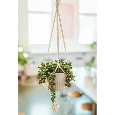 Artificial Plant STRING OF PEARLS MACRAME HANGING CERAMIC DONKEY TAILS - ONE-SIZE
