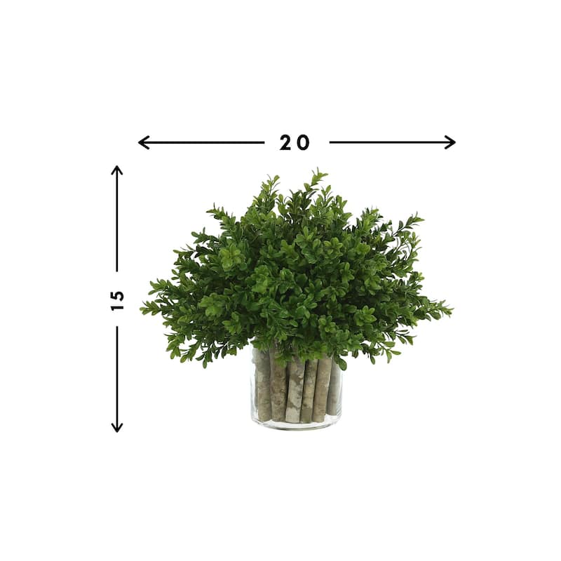 Boxwood in a Glass Vase with Birch Sticks - Green