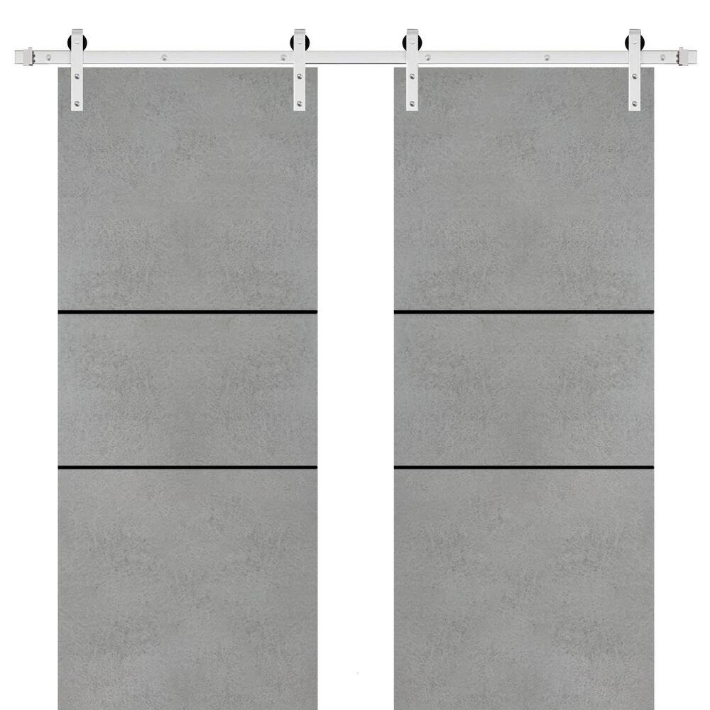 Sturdy Double Barn Door 36 x 80 with Planum 0014 Concrete with 13FT