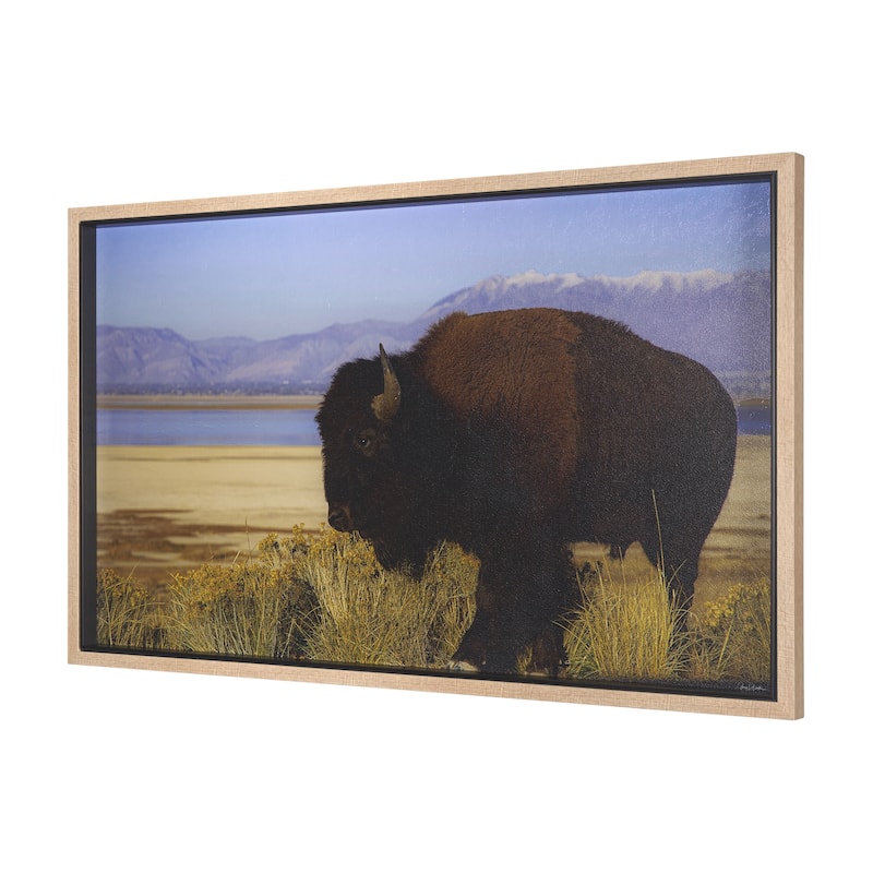 Antelope Island