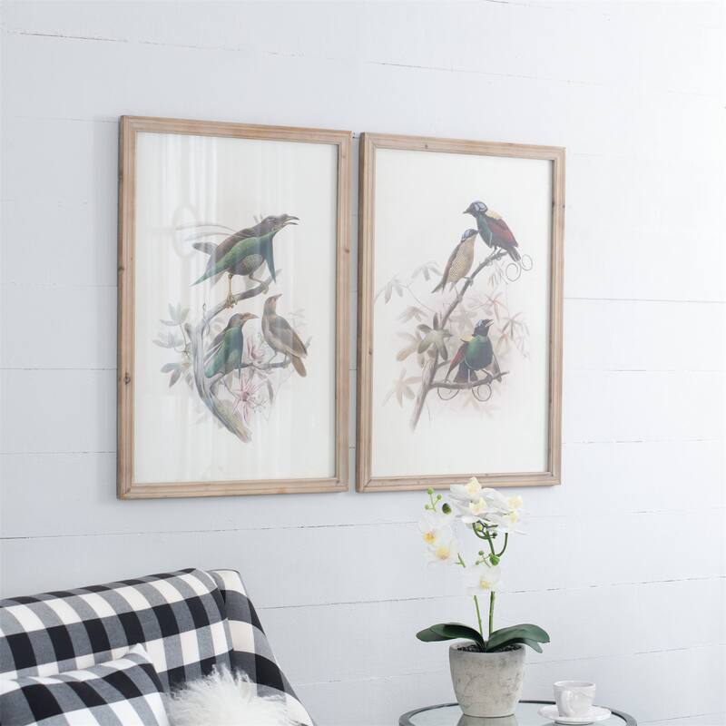 19.5x27.5 inch S/2 Bird Framed Print - Multicolor
