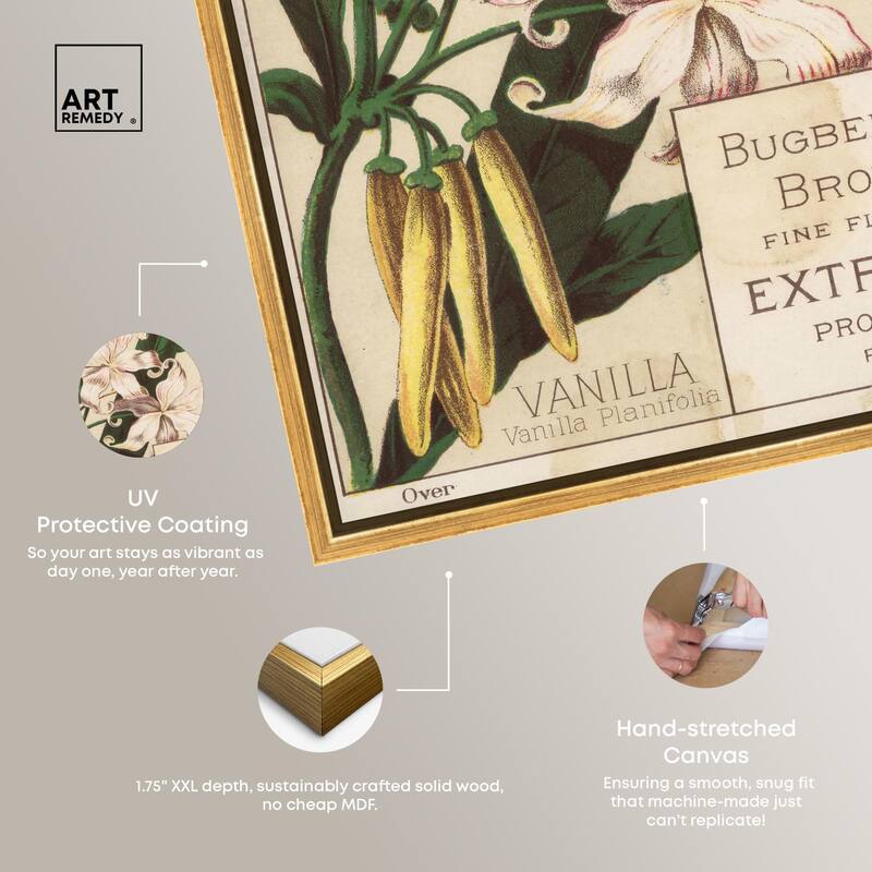 Vanilla Planifolia Canvas by Art Remedy