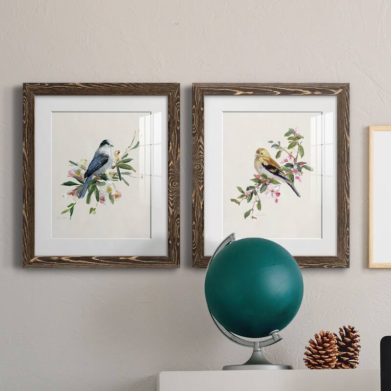 Spring Song Gray Jay-Premium Framed Print - Ready to Hang