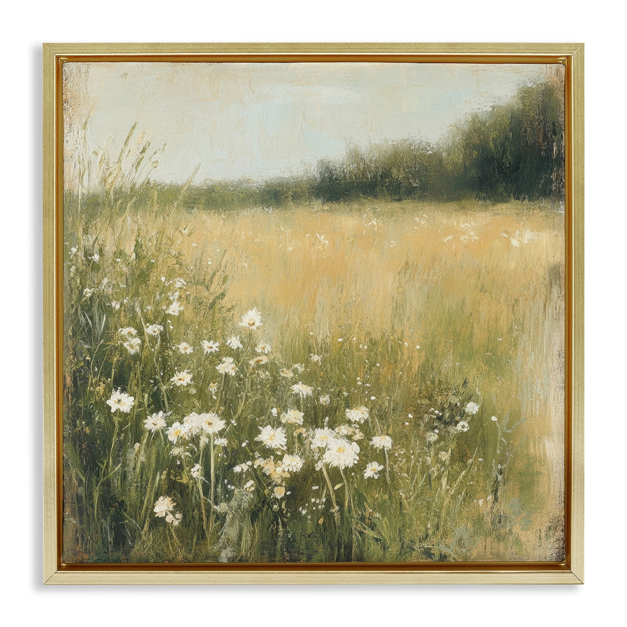 Stupell Daisy Dream Field Framed Floater Canvas Wall Art Design By Petal Prints Design