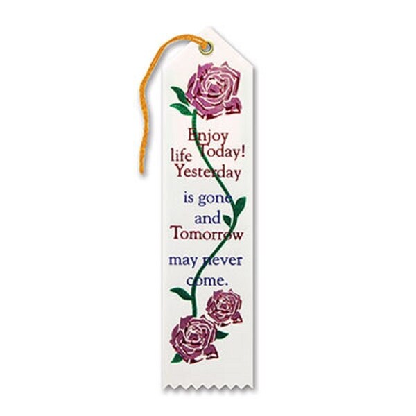Pack of 6 White "Enjoy Life Today Award" Decorative Award Ribbon Bookmarks 8" - N/A
