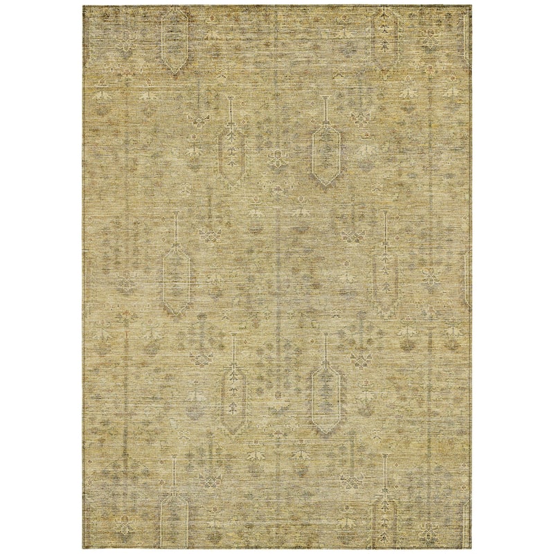 HomeRoots Southwestern Transitional Rectangle Outdoor Rug