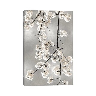 iCanvas "White Blossoms on Silver IV" by Kate Bennett Canvas Print ...