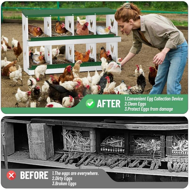 Chicken Nesting Box Nesting Boxes