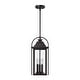 preview thumbnail 19 of 20, Brits 3-Light Outdoor Pendant Light