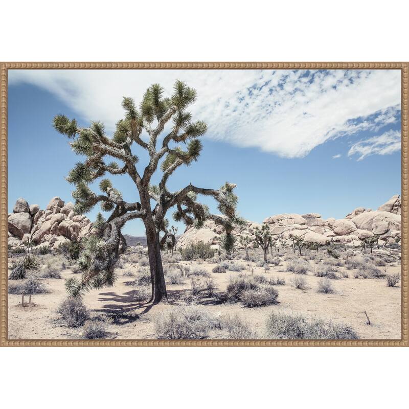 Yucca by Shot by Clint Framed Canvas Wall Art Print