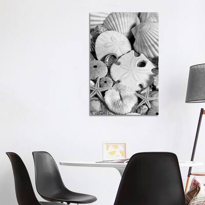 iCanvas "1980s Assortment Of Seashells Sand Dollars Coral And Starfish On Sand" by Vintage Images Canvas Print