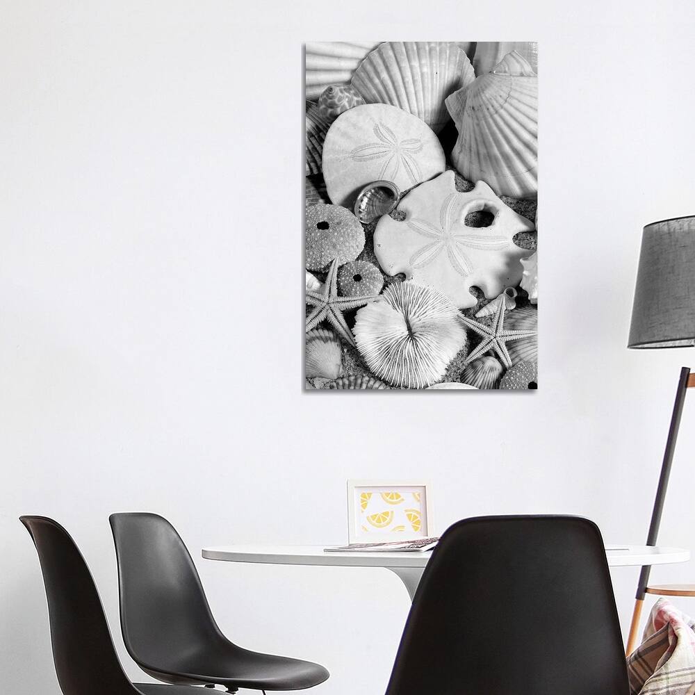 iCanvas "1980s Assortment Of Seashells Sand Dollars Coral And Starfish On Sand" by Vintage Images Canvas Print