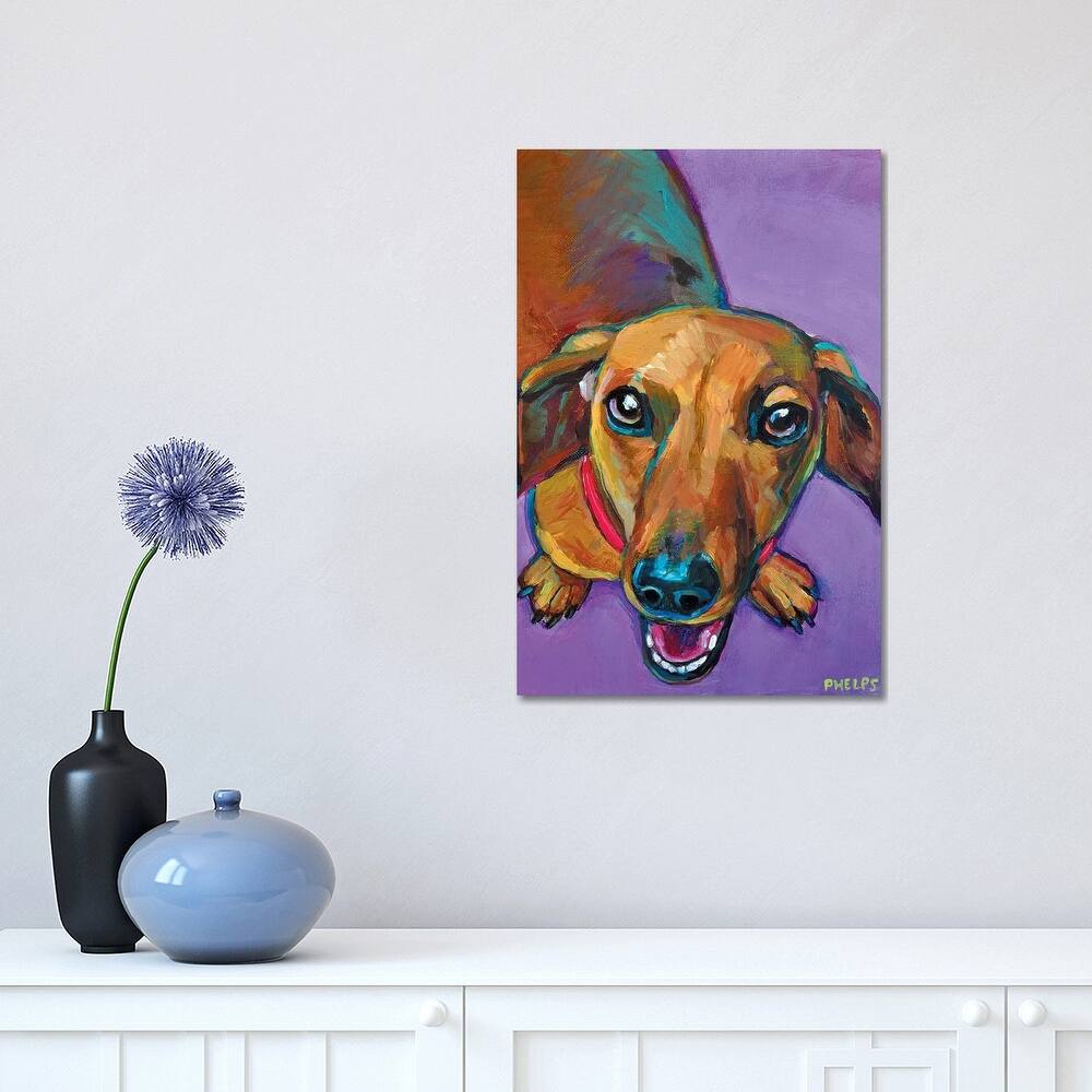 iCanvas "Lucy The Dachshund" by Robert Phelps Canvas Print