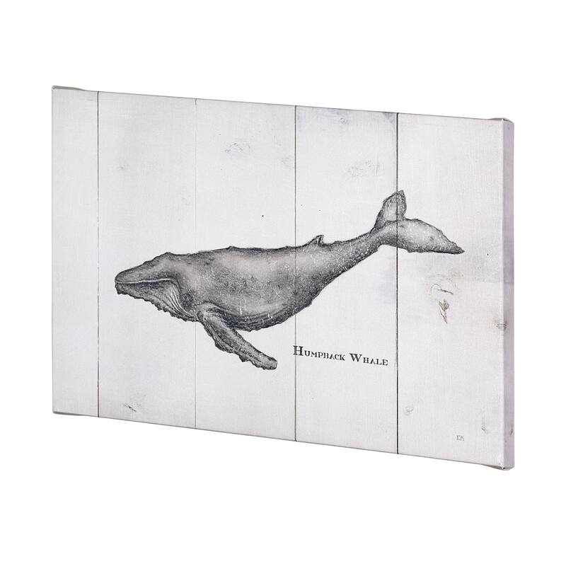 Humpback Whale (50 x 30) Canvas Art Print