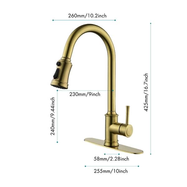 Xela Pull Out Single Handle Kitchen Faucet With Accessories Bed Bath
