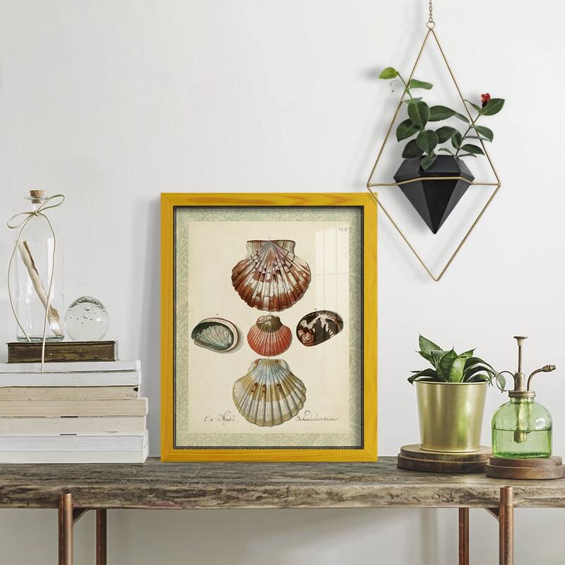 Bookplate Shells III -Framed Print w/glass-Cherry Red