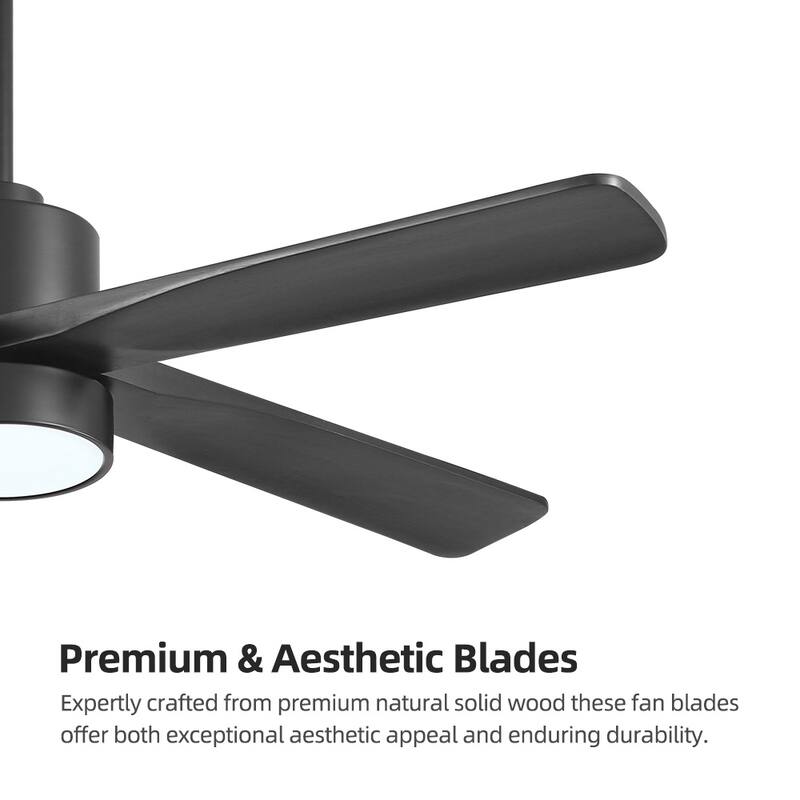 WINGBO 54" and 64" 5 ABS Blades DC Motor Indoor Ceiling Fan with Light & Remote