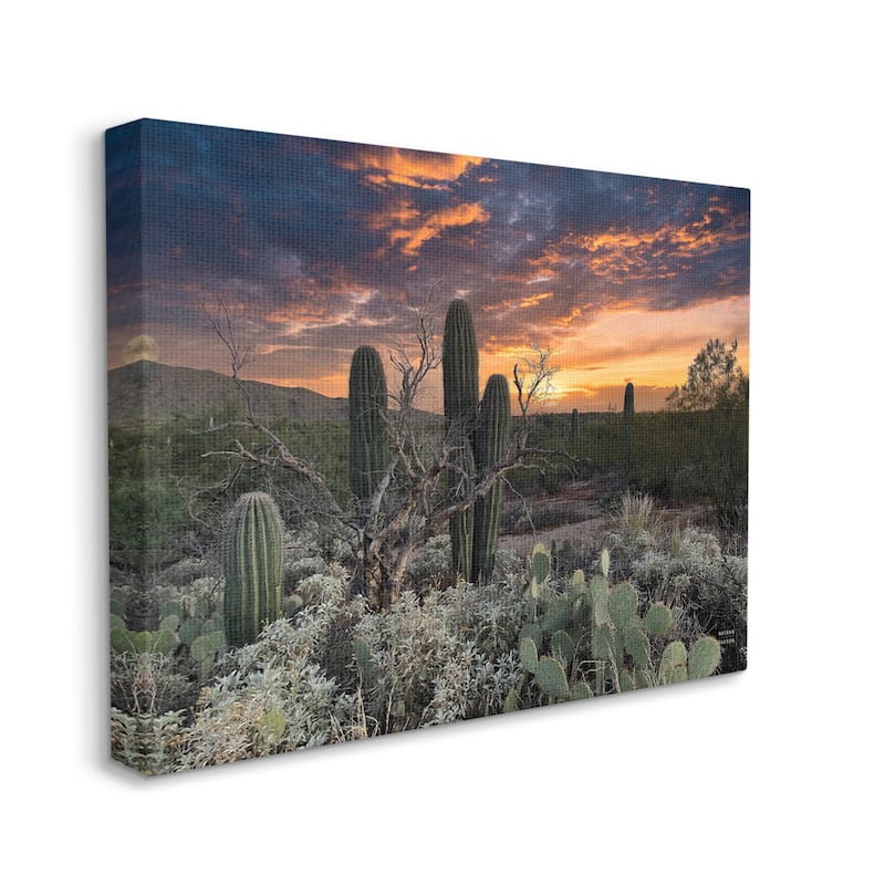 Stupell Arid Desert Cactus Sunset Stretched Canvas Wall Art, Design by ...