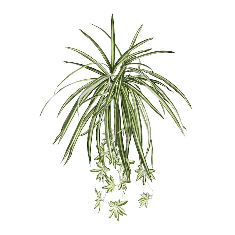 Set of 2 Artificial Spider Plant Leaf Hanging Greenery Foliage Bush 25in - 25" L x 12" W x 2.5" DP - 25" L x 12" W x 2.5" DP