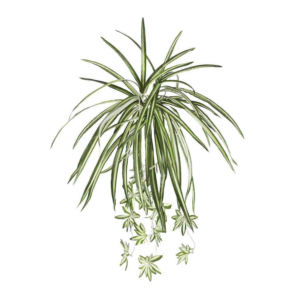 Set of 2 Artificial Spider Plant Leaf Hanging Greenery Foliage Bush 25in - 25" L x 12" W x 2.5" DP - 25" L x 12" W x 2.5" DP